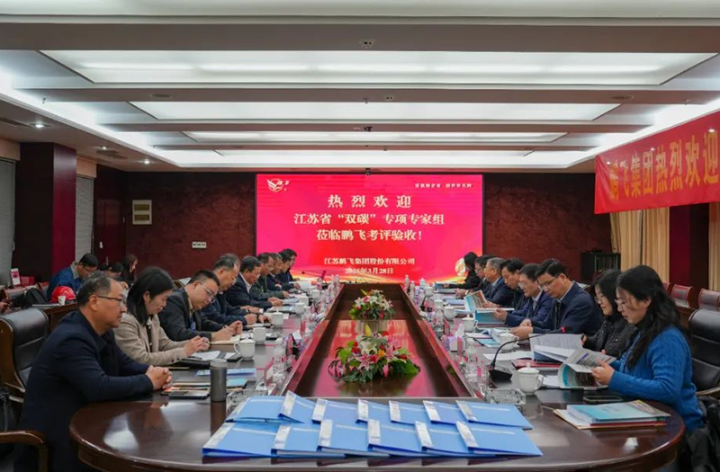 鵬飛集團“低階煤綠色潔凈利用熱解技術裝備研發(fā)及產業化”項目通過驗收